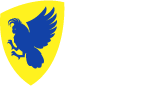 Volleyball Act Logo